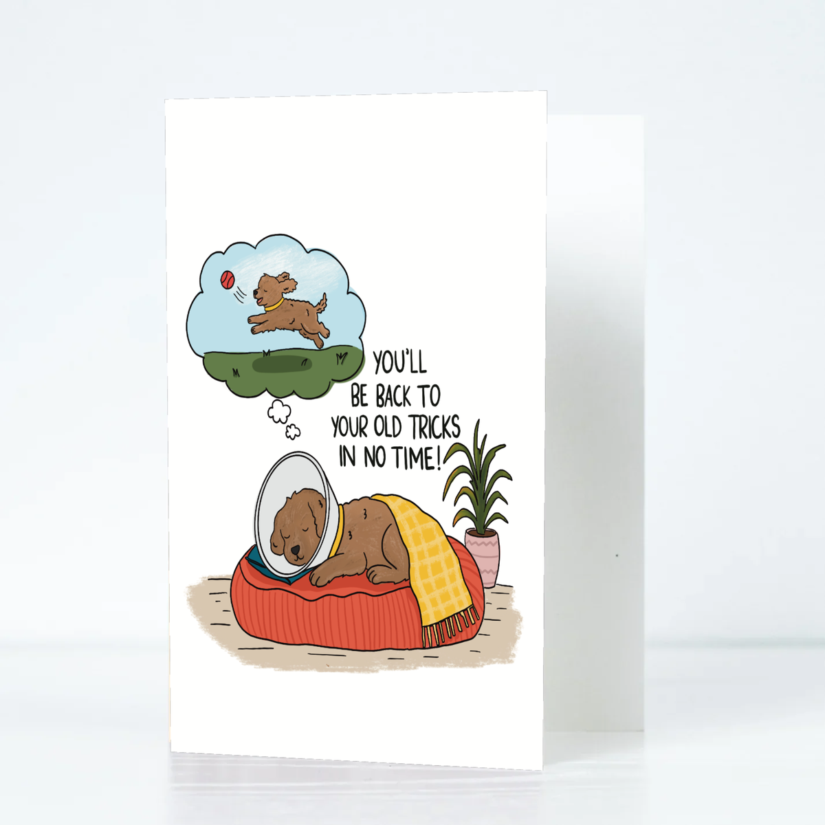 Get Well Dog Card