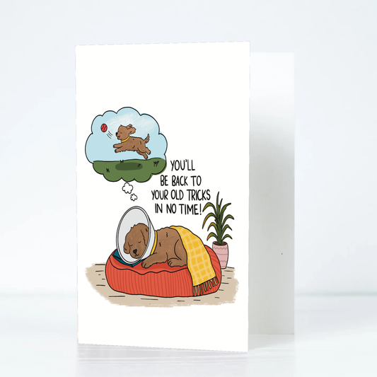 Get Well Dog Card