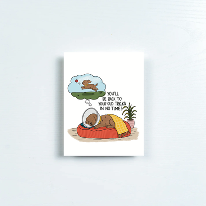 Get Well Dog Card